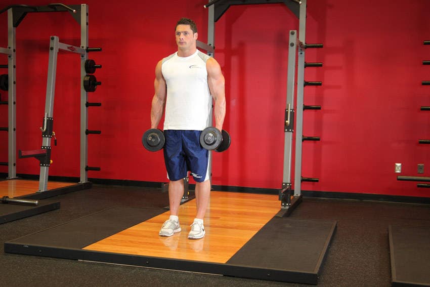 Dumbbell Bicep Curl — start position