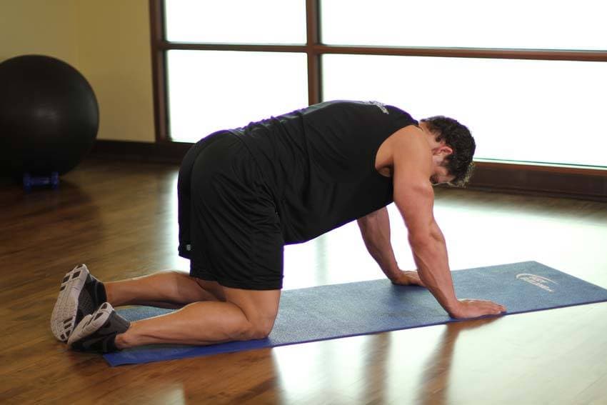 Rear Leg Raises — start position