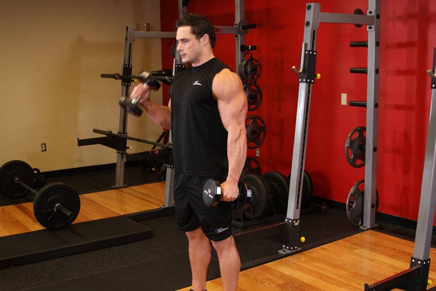 Alternate Hammer Curl — start position