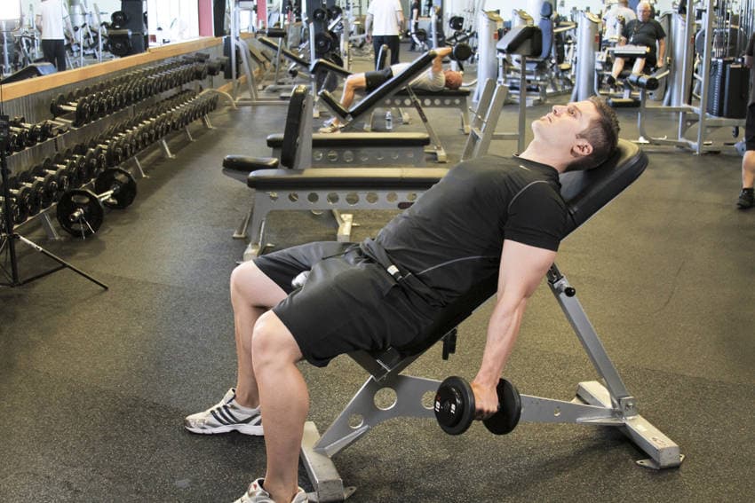 Incline Hammer Curls — start position