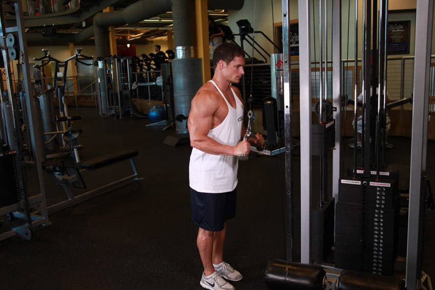 Triceps Pushdown - V-Bar Attachment — start position